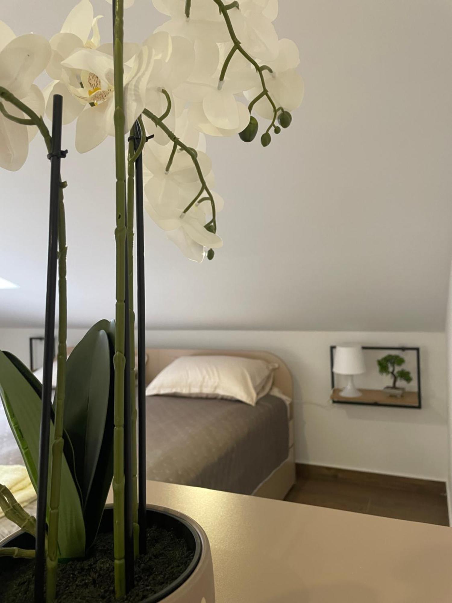 Joy Apartment 6 Belgrado Exterior foto